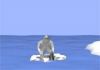 Yeti 3: Seal Bounce gra online