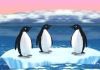 Turbocharged Penguins gra online